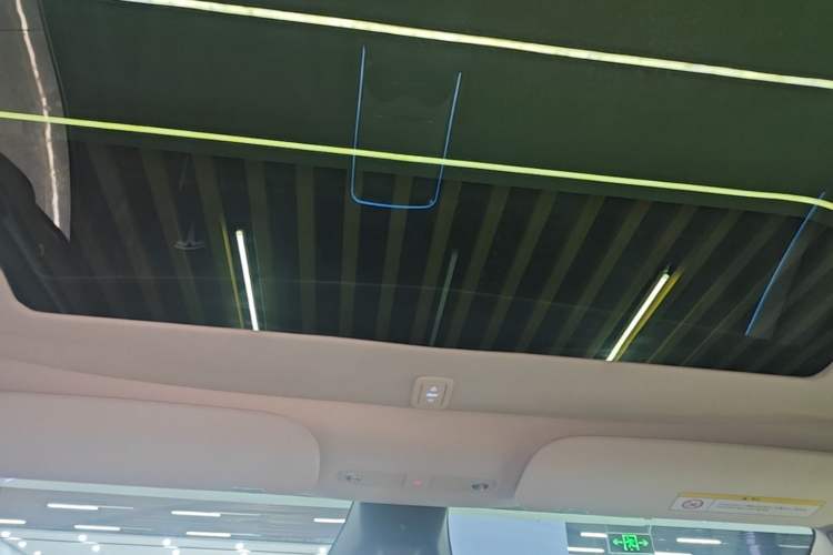 Used Tesla Model Y 2024 Rear-Wheel-Drive Version Headliner