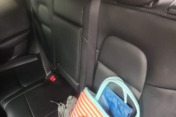Used Tesla Model Y 2024 Rear-Wheel-Drive Version Left Rear Seat