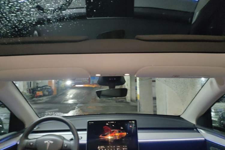 Used Tesla Model Y 2024 Long-Range All-Wheel-Drive Version Headliner