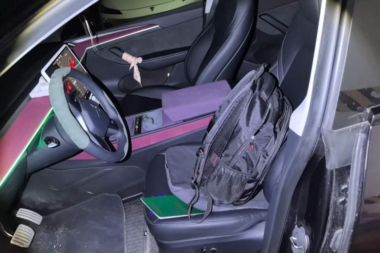 Used Tesla Model Y 2024 Rear-Wheel-Drive Version Left Front Seat