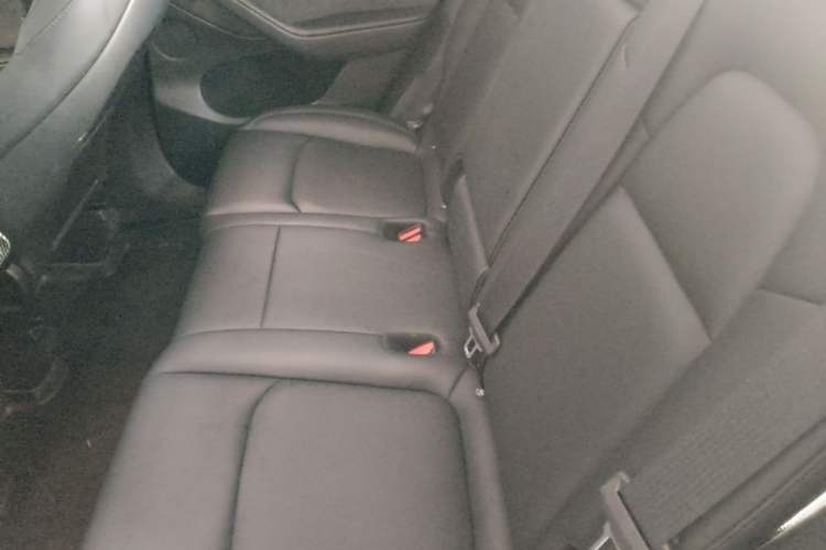 Used Tesla Model Y 2024 Rear-Wheel-Drive Version Left Rear Seat