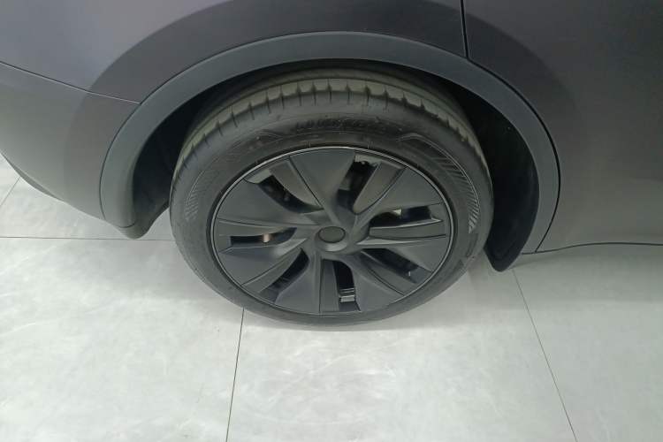 Used Tesla Model Y 2024 Rear-Wheel-Drive Version Exterior 5