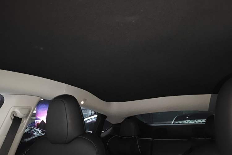 Used Tesla Model Y 2024 Rear-Wheel-Drive Version Headliner