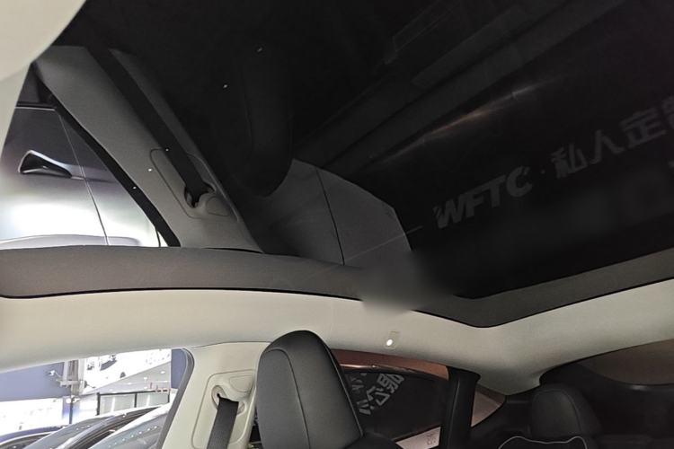 Used Tesla Model Y 2024 Rear-Wheel-Drive Version Headliner