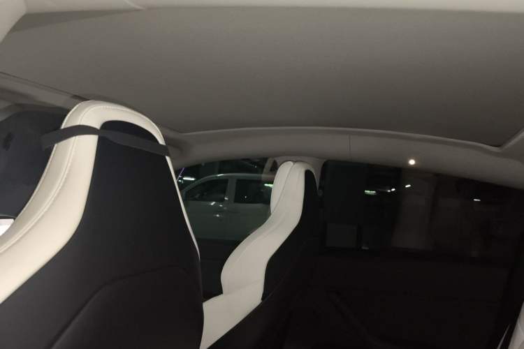 Used Tesla Model Y 2024 Rear-Wheel-Drive Version Headliner