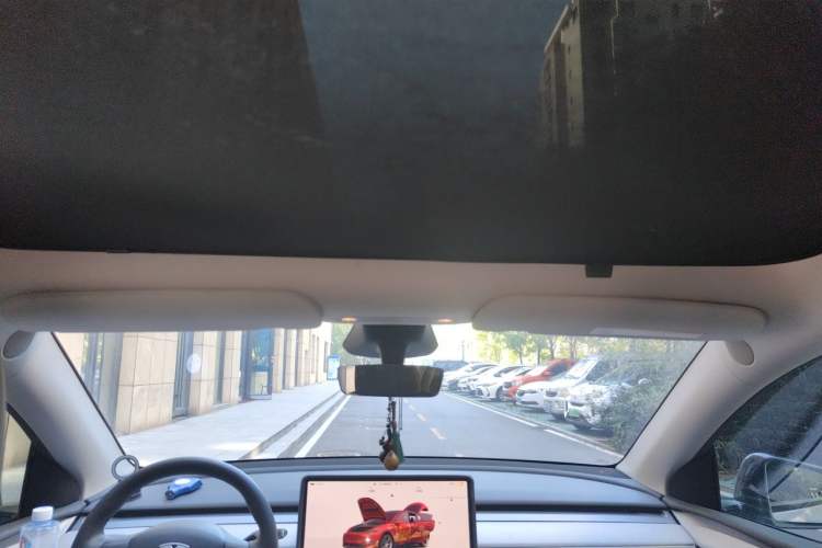 Used Tesla Model Y 2024 Rear-Wheel-Drive Version Headliner