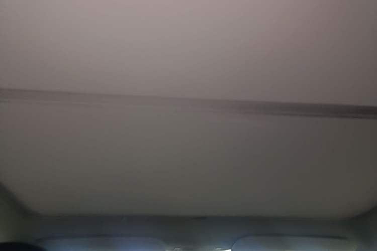 Used Tesla Model Y 2024 Rear-Wheel-Drive Version Headliner