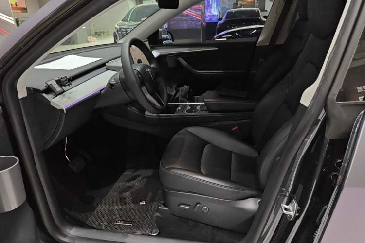 Used Tesla Model Y 2024 Rear-Wheel-Drive Version Left Front Seat