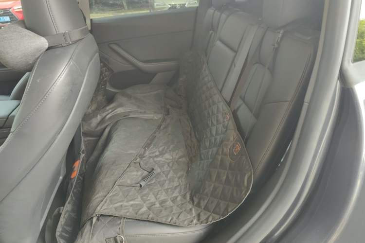 Used Tesla Model Y 2024 Rear-Wheel-Drive Version Left Rear Seat
