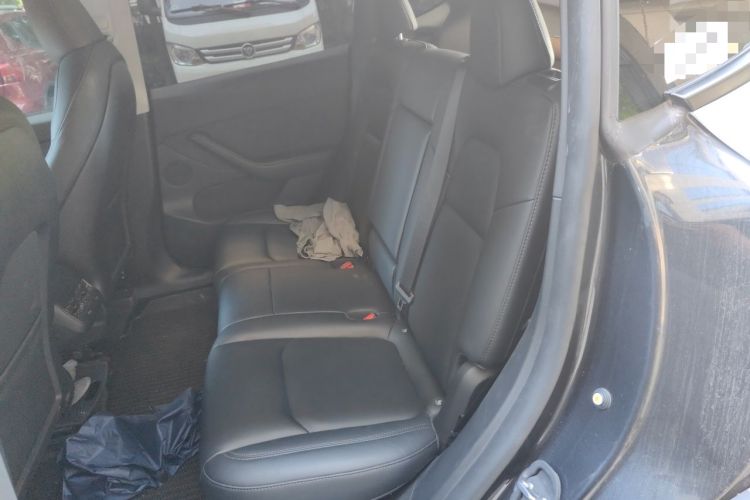 Used Tesla Model Y 2024 Rear-Wheel-Drive Version Left Rear Seat