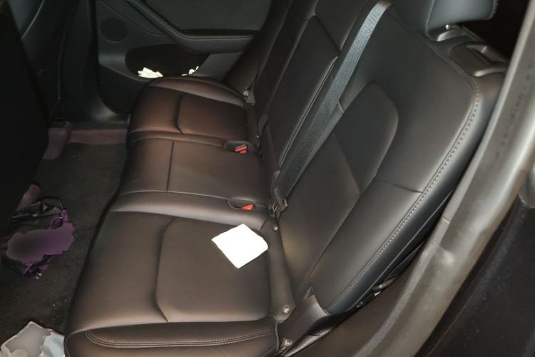 Used Tesla Model Y 2024 Long-Range All-Wheel-Drive Version Left Rear Seat