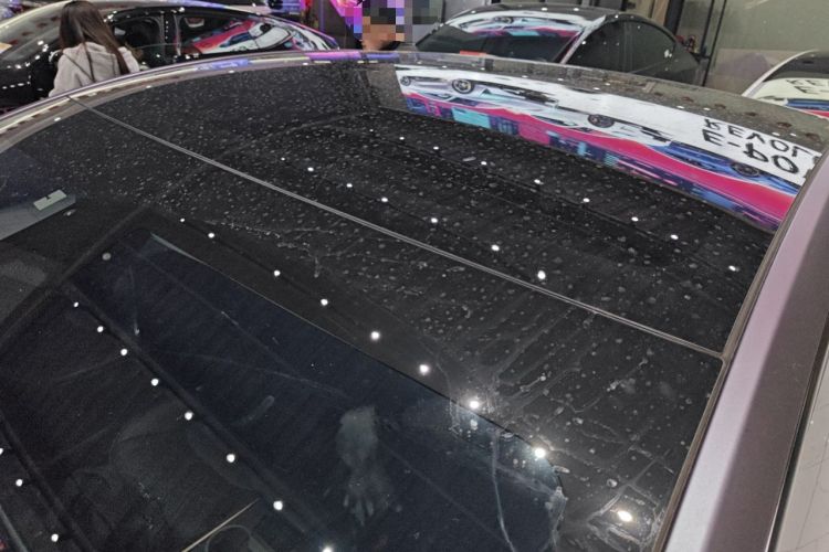 Used Tesla Model Y 2024 Rear-Wheel-Drive Version Roof