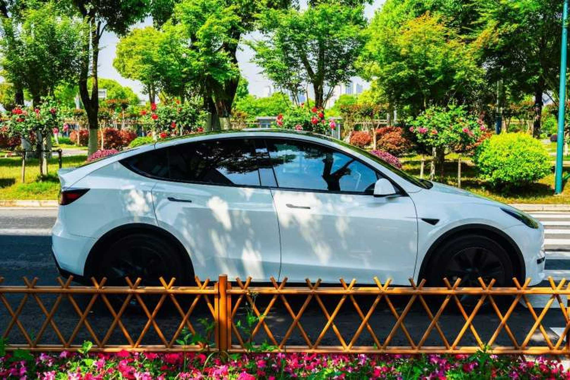 Used Tesla Model Y 2024 Rear-Wheel-Drive Version Exterior 2