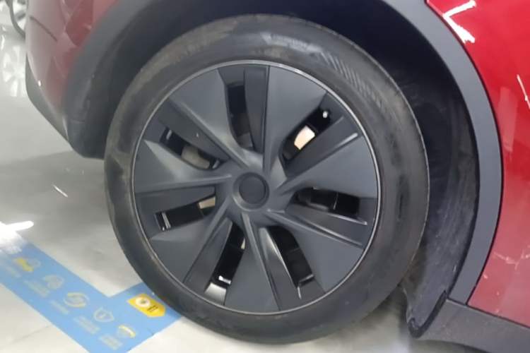 Used Tesla Model Y 2024 Rear-Wheel-Drive Version Exterior 5