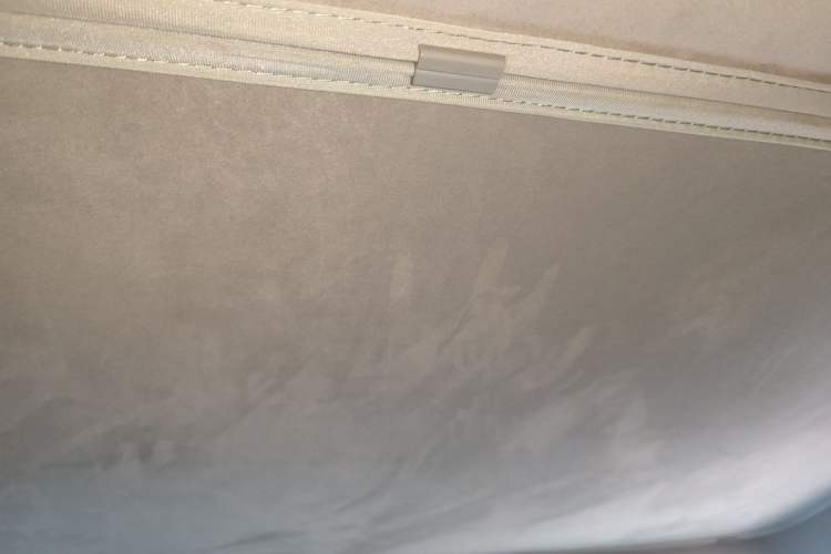 Used Tesla Model Y 2024 Rear-Wheel-Drive Version Headliner