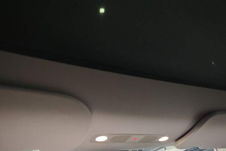 Used Tesla Model Y 2024 Rear-Wheel-Drive Version Headliner