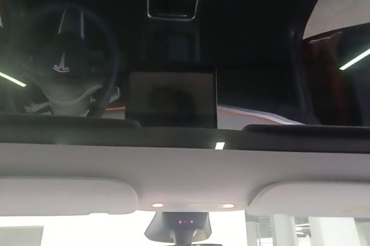 Used Tesla Model Y 2024 Rear-Wheel-Drive Version Headliner