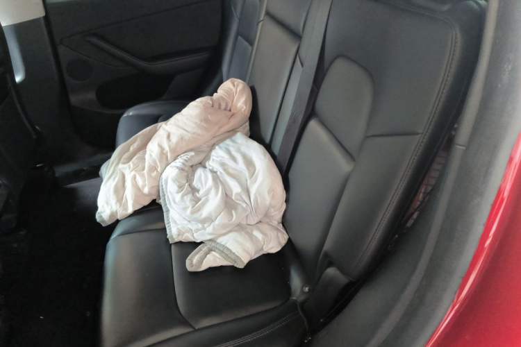 Used Tesla Model Y 2024 Rear-Wheel-Drive Version Left Rear Seat