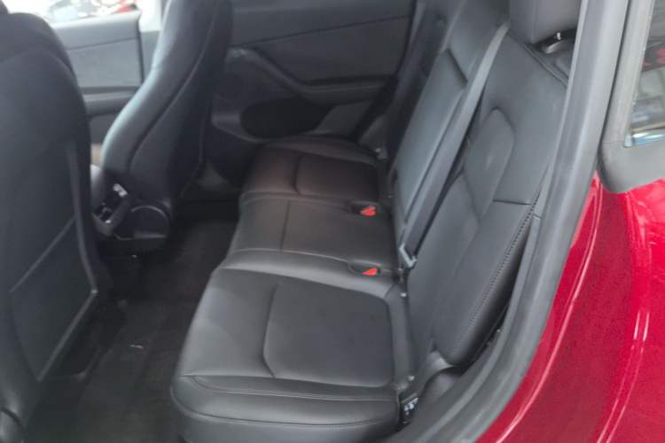 Used Tesla Model Y 2024 Long-Range All-Wheel-Drive Version Left Rear Seat