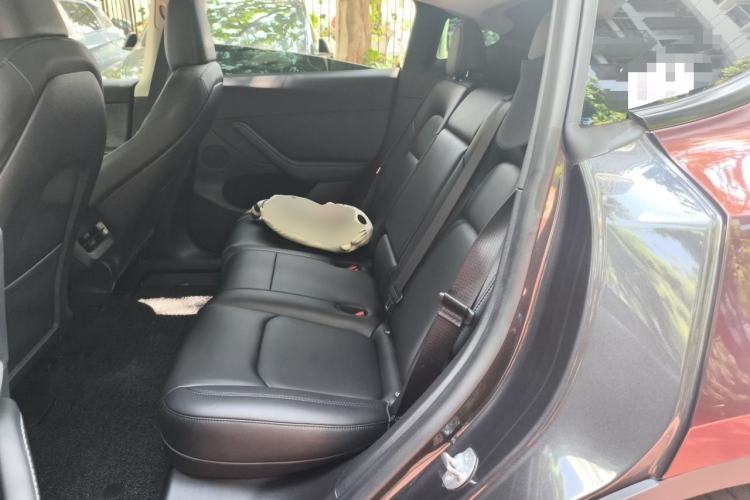 Used Tesla Model Y 2024 Rear-Wheel-Drive Version Left Rear Seat