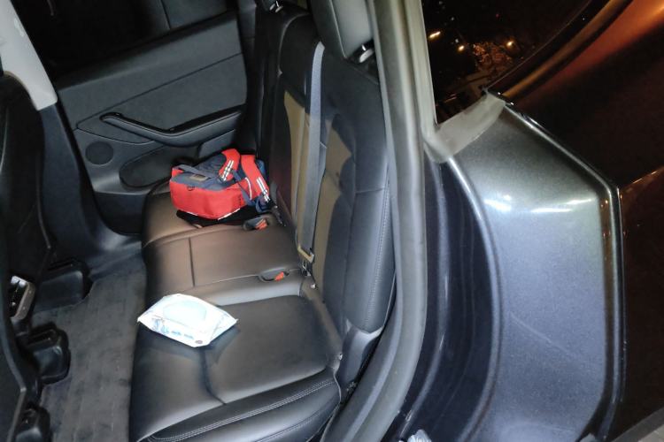 Used Tesla Model Y 2024 Rear-Wheel-Drive Version Left Rear Seat