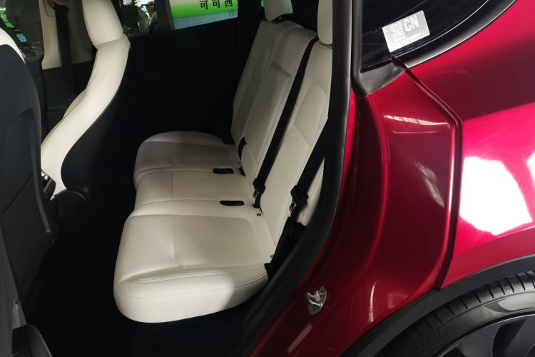 Used Tesla Model Y 2024 Performance High-Performance Edition Left Rear Seat