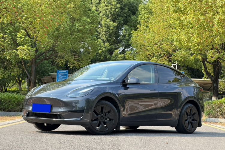 Tesla Model Y 2024 Rear-Wheel-Drive Version