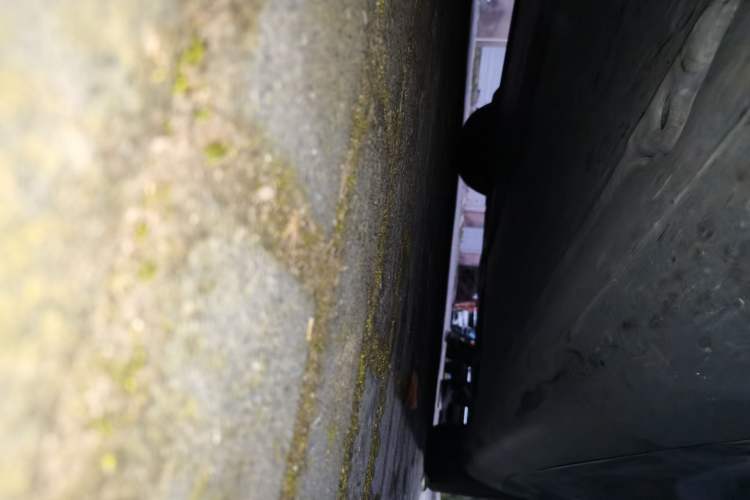 Used Tesla Model Y 2024 Rear-Wheel-Drive Version Chassis Front Left