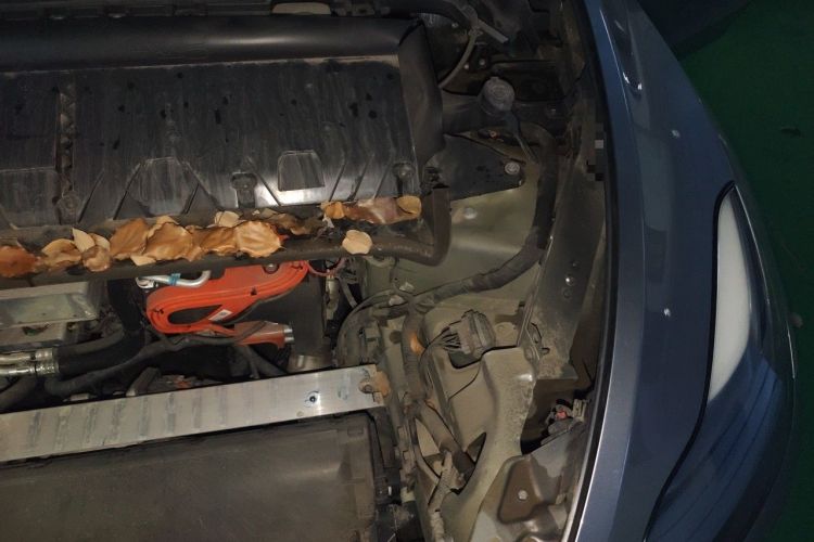 Used Tesla Model Y 2024 Rear-Wheel-Drive Version Engine Bay Left