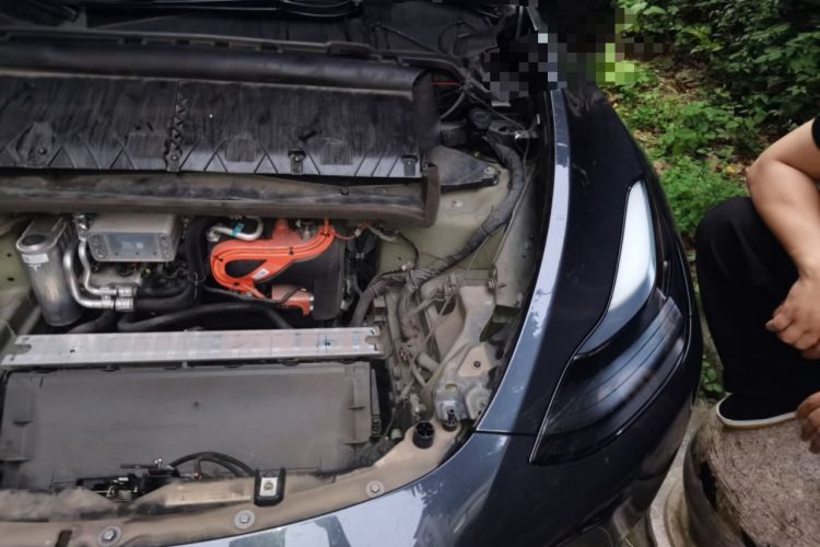 Used Tesla Model Y 2024 Rear-Wheel-Drive Version Engine Bay Left