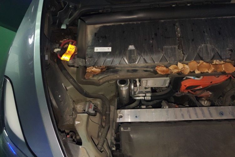 Used Tesla Model Y 2024 Rear-Wheel-Drive Version Engine Bay Right