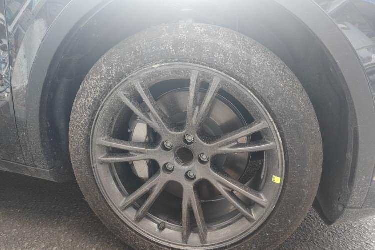 Used Tesla Model Y 2024 Rear-Wheel-Drive Version Exterior 1