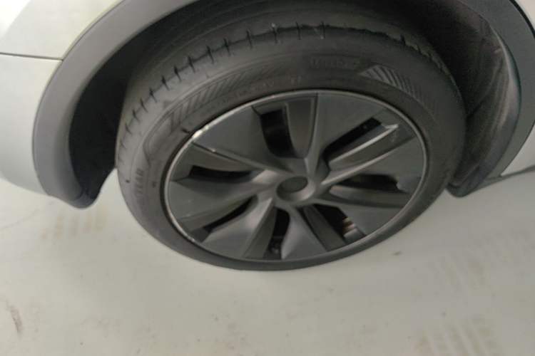 Used Tesla Model Y 2024 Rear-Wheel-Drive Version Exterior 5