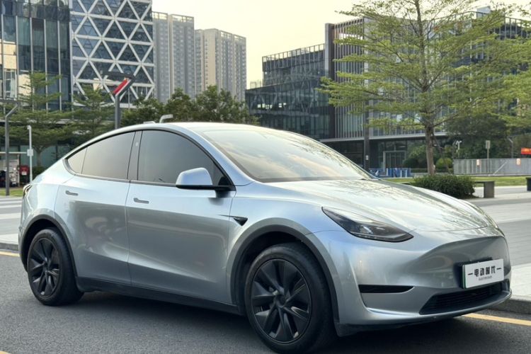 Used Tesla Model Y 2024 Rear-Wheel-Drive Version Exterior 5