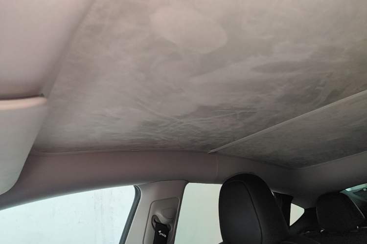 Used Tesla Model Y 2024 Rear-Wheel-Drive Version Headliner