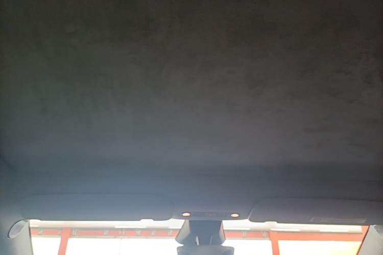 Used Tesla Model Y 2024 Rear-Wheel-Drive Version Headliner