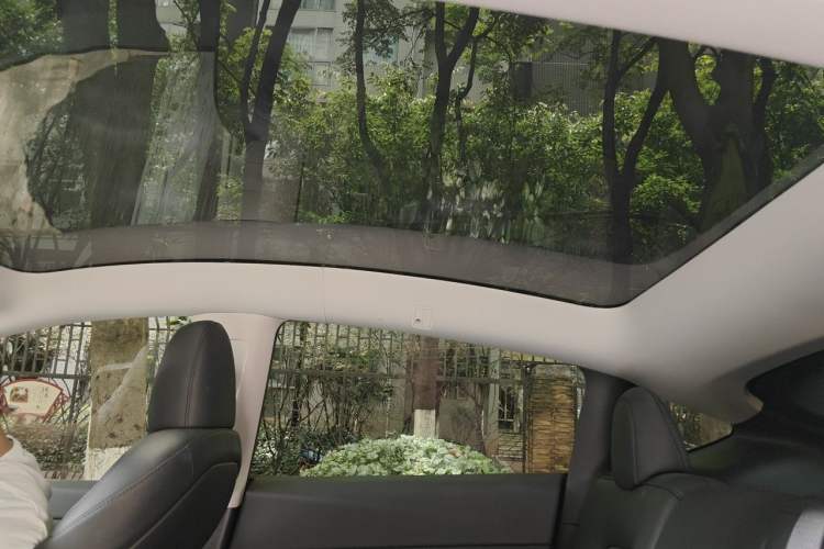 Used Tesla Model Y 2024 Rear-Wheel-Drive Version Headliner