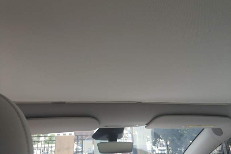 Used Tesla Model Y 2024 Rear-Wheel-Drive Version Headliner