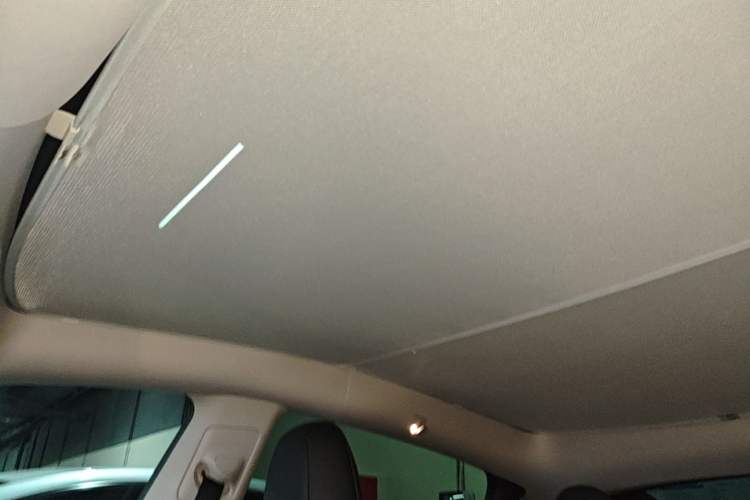 Used Tesla Model Y 2024 Rear-Wheel-Drive Version Headliner