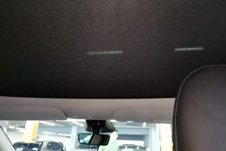 Used Tesla Model Y 2024 Rear-Wheel-Drive Version Headliner