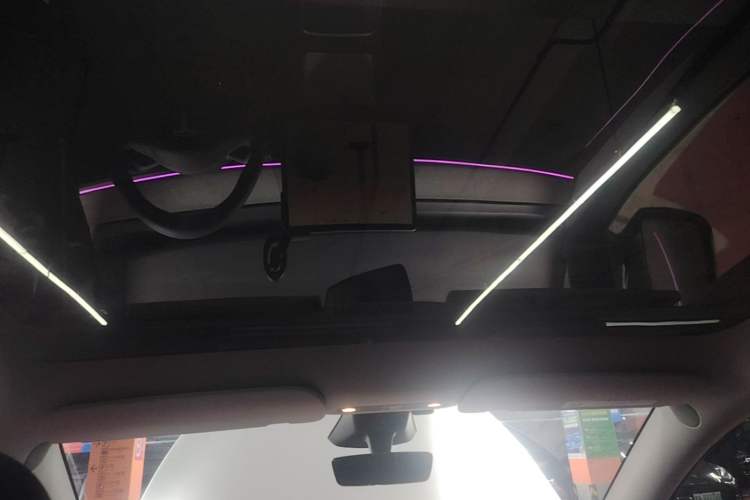 Used Tesla Model Y 2024 Rear-Wheel-Drive Version Headliner