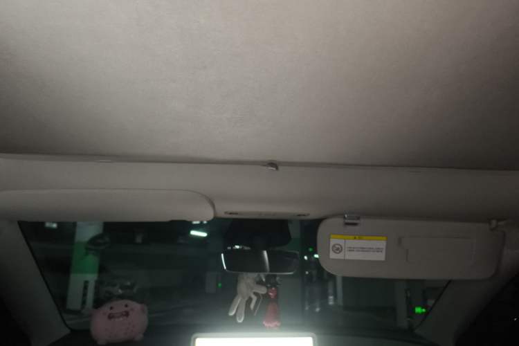 Used Tesla Model Y 2024 Long-Range All-Wheel-Drive Version Headliner