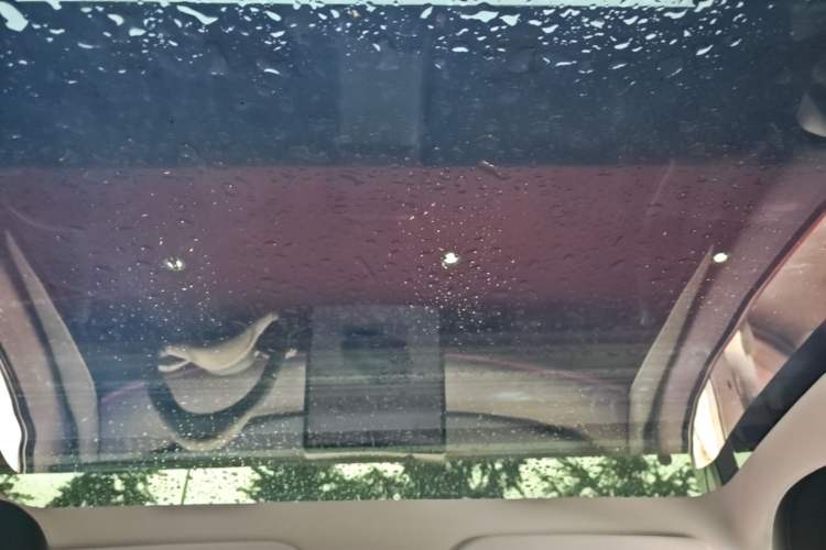 Used Tesla Model Y 2024 Rear-Wheel-Drive Version Headliner