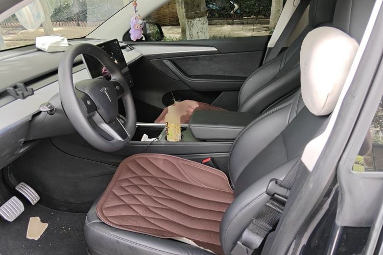 Used Tesla Model Y 2024 Rear-Wheel-Drive Version Left Front Seat