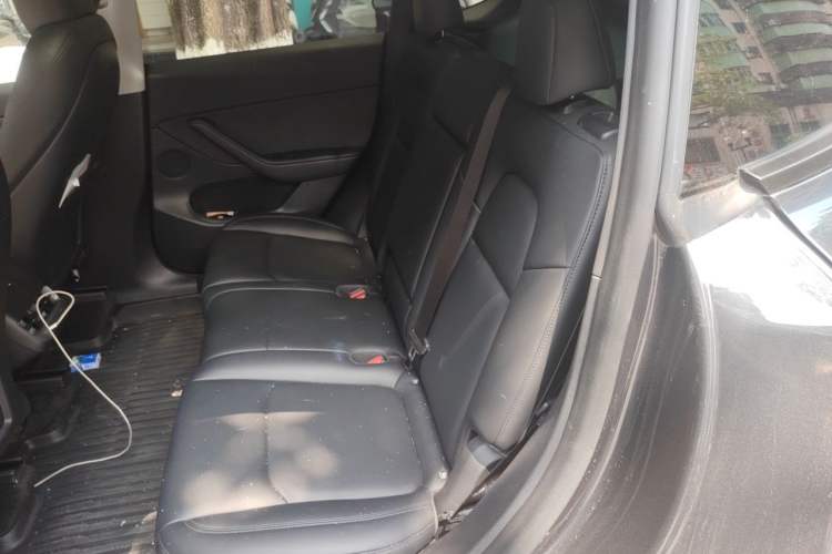 Used Tesla Model Y 2024 Rear-Wheel-Drive Version Left Rear Seat