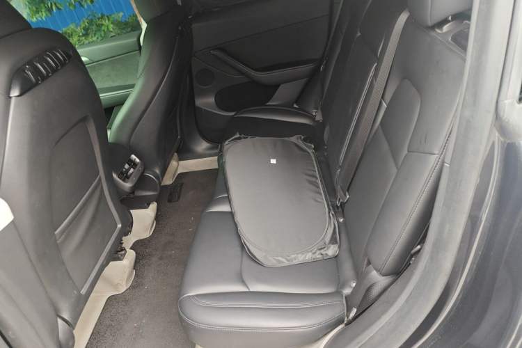 Used Tesla Model Y 2024 Long-Range All-Wheel-Drive Version Left Rear Seat