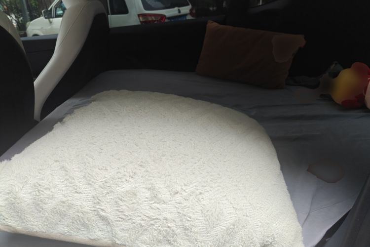 Used Tesla Model Y 2024 Rear-Wheel-Drive Version Left Rear Seat