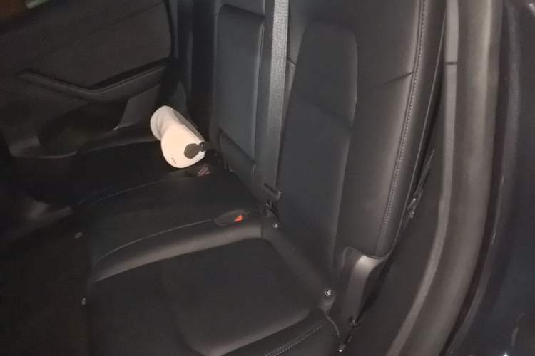 Used Tesla Model Y 2024 Rear-Wheel-Drive Version Left Rear Seat