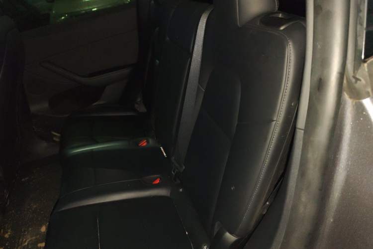 Used Tesla Model Y 2024 Rear-Wheel-Drive Version Left Rear Seat