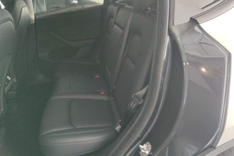Used Tesla Model Y 2024 Rear-Wheel-Drive Version Left Rear Seat